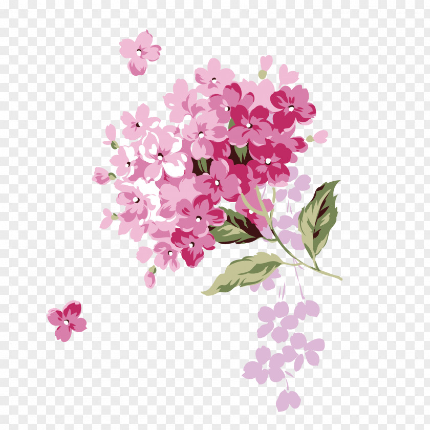 Vector Japanese Cherry Blossoms Flower Adobe Illustrator Download PNG