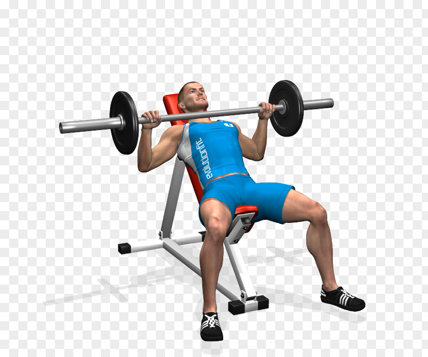 Barbell Bench Press Dumbbell Pectoralis Major PNG