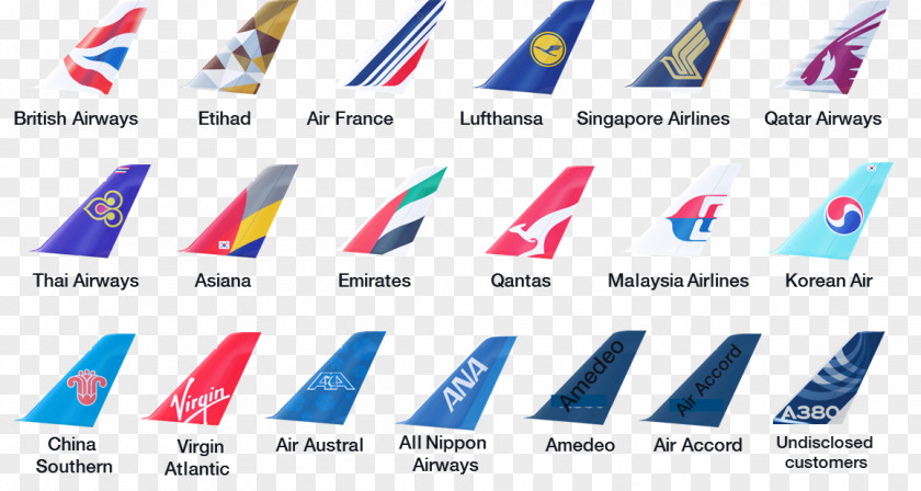 Business Airbus A380 Airline Organization A320neo Family PNG