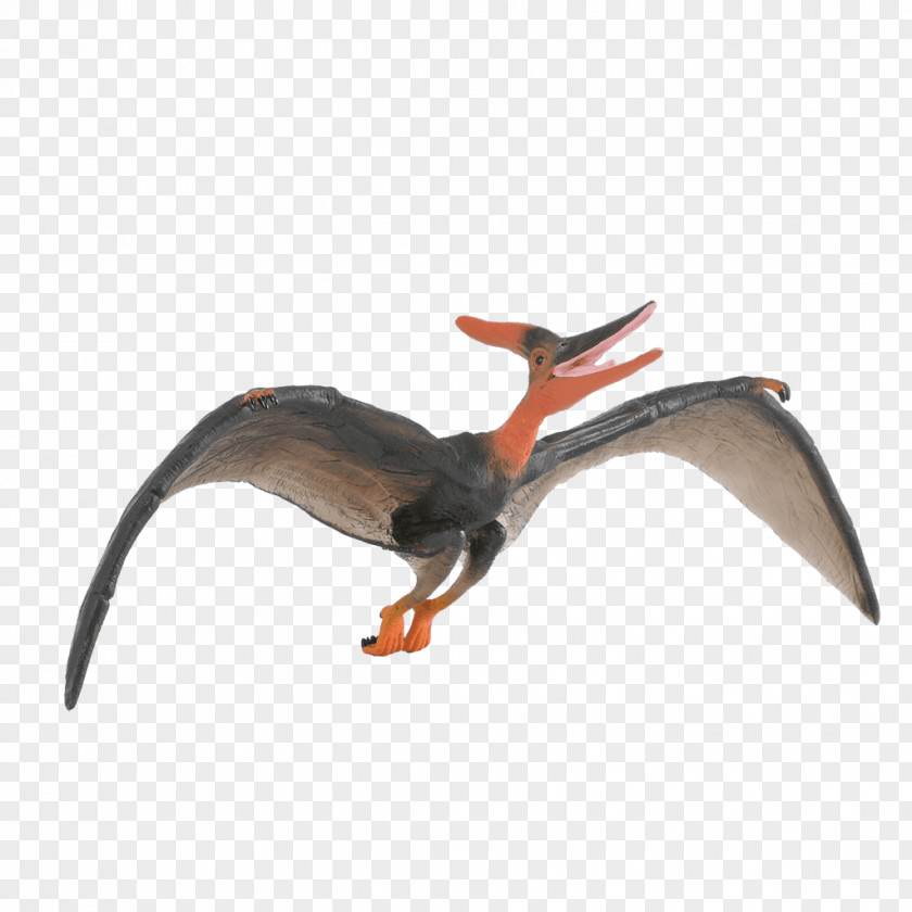 Dinosaur Pteranodon Tyrannosaurus CollectA Toy PNG