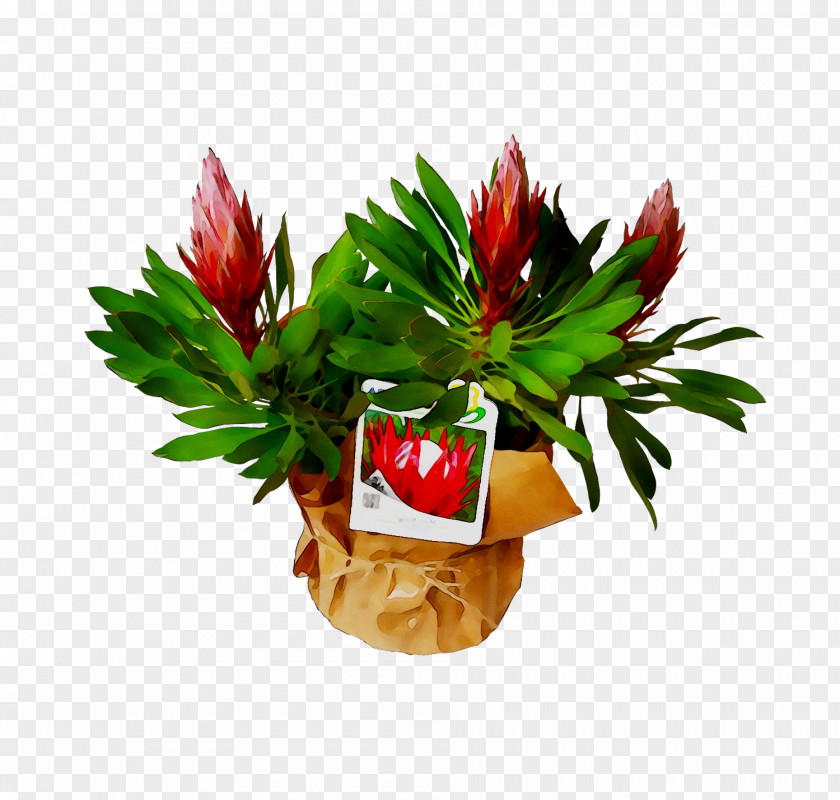 Flower PNG