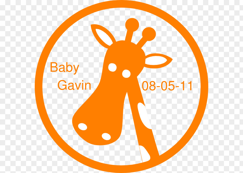 Gavin Free Clip Art Baby Giraffes Illustration West African Giraffe Image PNG