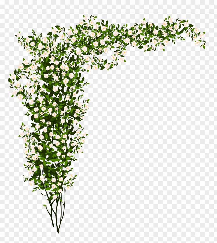 Green Bush Cliparts Shrub Rose Tree Clip Art PNG