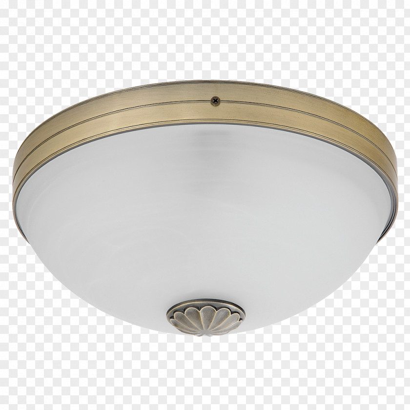 Light Fixture Edison Screw Incandescent Bulb Bronze PNG