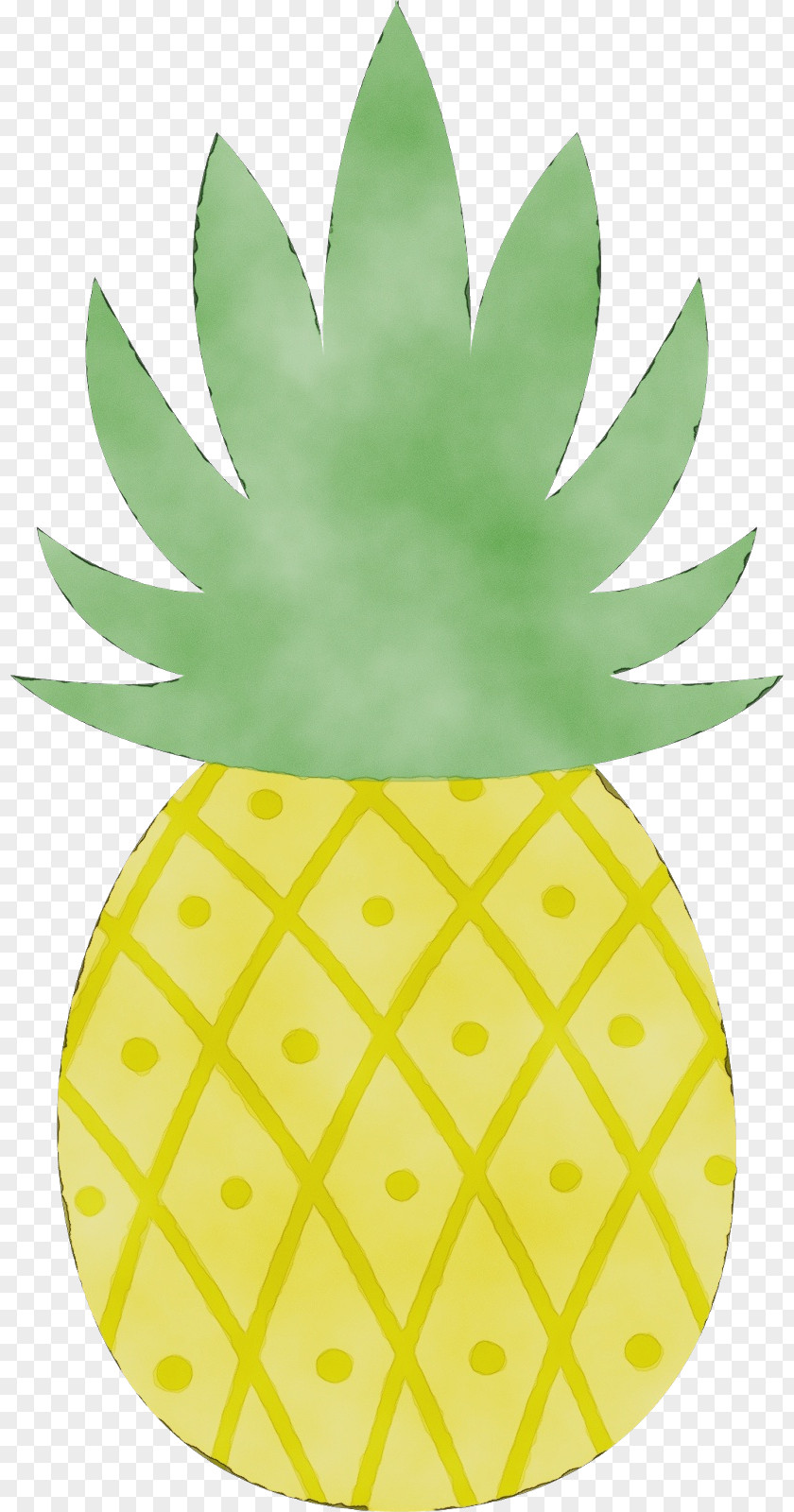 Poales Leaf Pineapple PNG