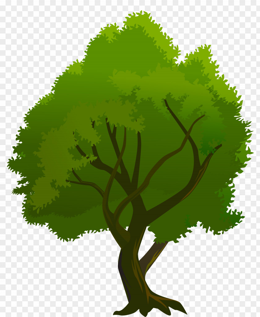Tree Green Clipart Clip Art PNG