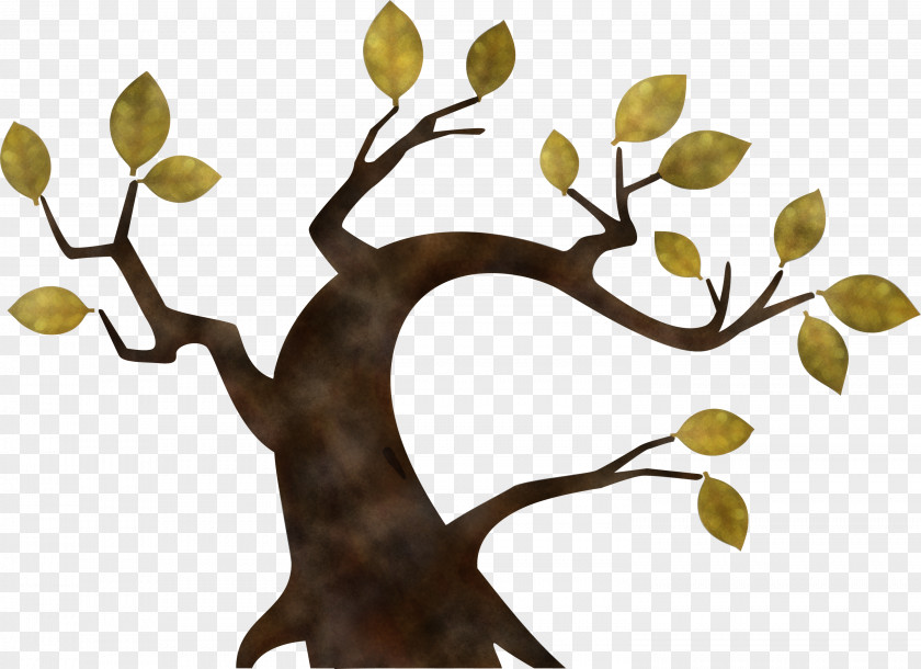 Branch Tree Plant Woody Leaf PNG