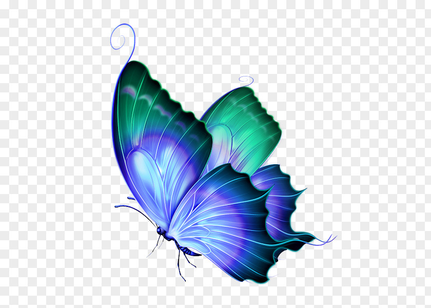Butterfly Clipart Blue Clip Art Image Borboleta PNG