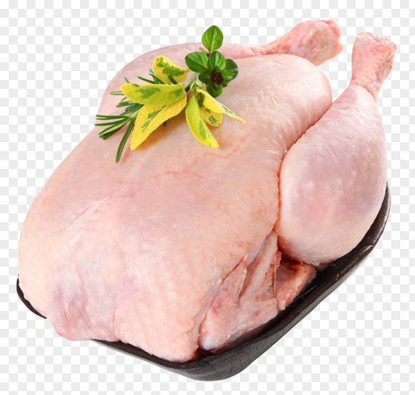 Chicken As Food Halal Poultry Free Range PNG