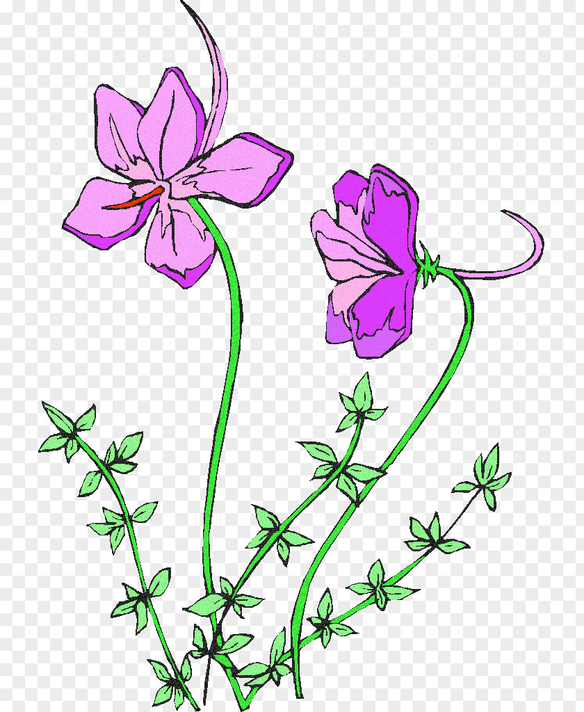 Design Floral Cut Flowers Plant Stem Leaf PNG