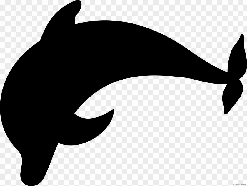 Dolphin Silhouette Clip Art PNG