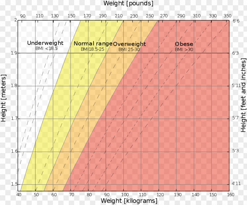 Health Weight And Height Percentile Body Mass Index Growth Chart Human PNG
