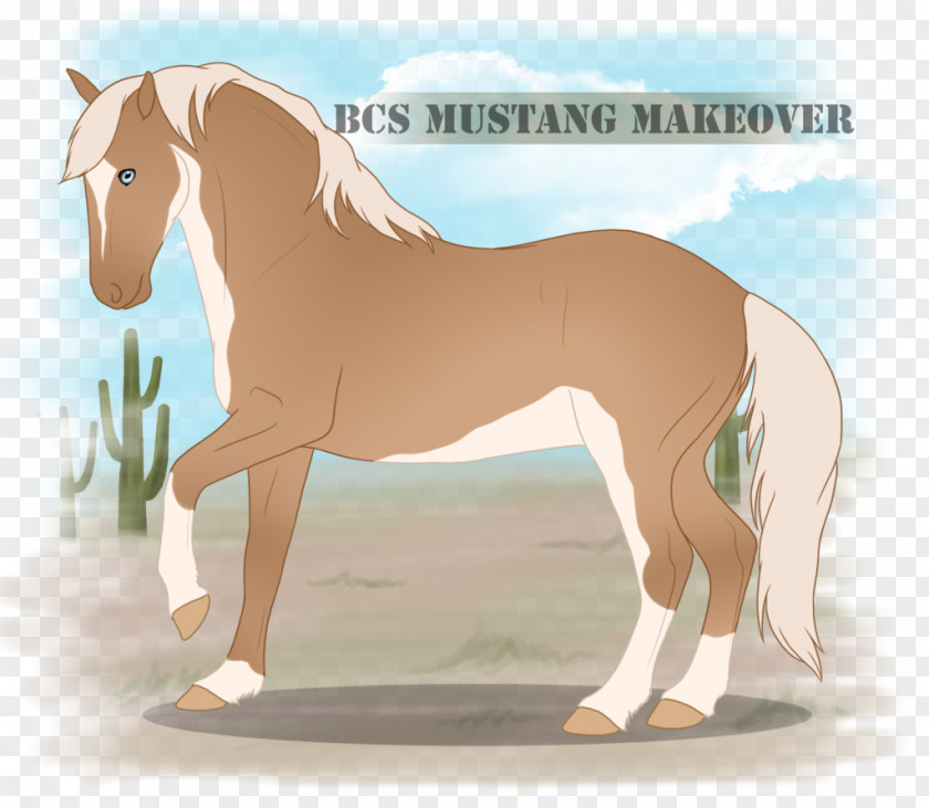 Mustang Mare Foal Pony Stallion PNG