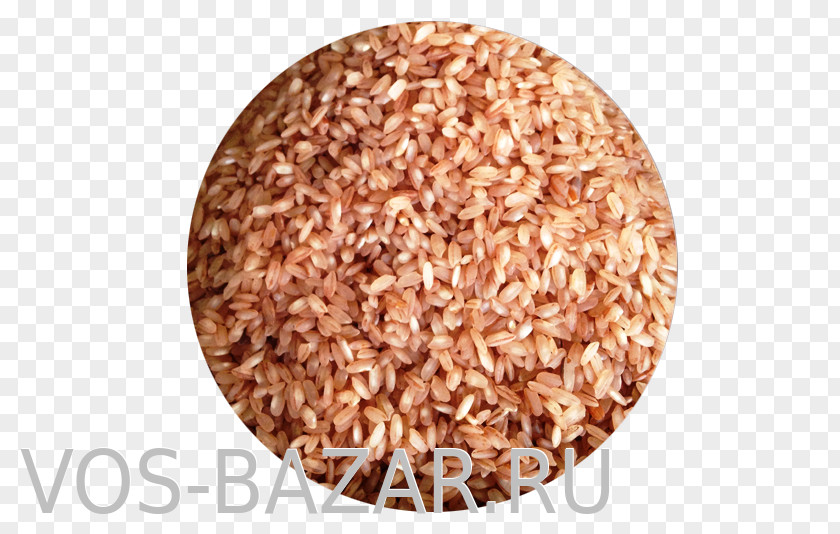 Rice Uzbekistan Sprouted Wheat Uzbek Language Grain PNG
