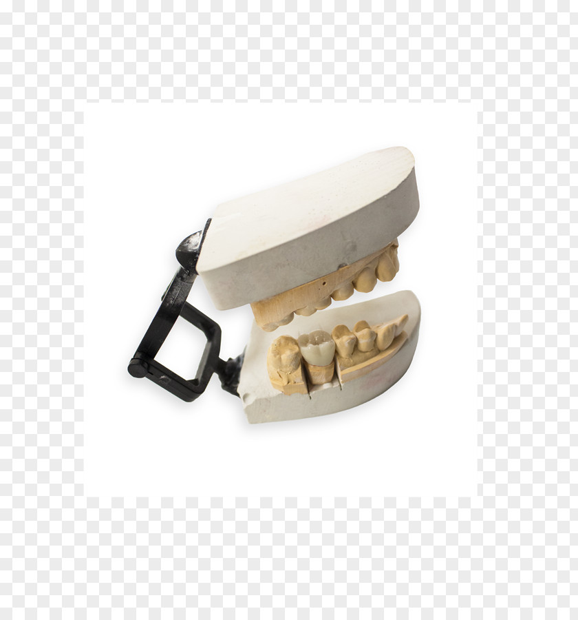 Teeth Model Digital Dentistry Dental Porcelain Ceramic Laboratory PNG
