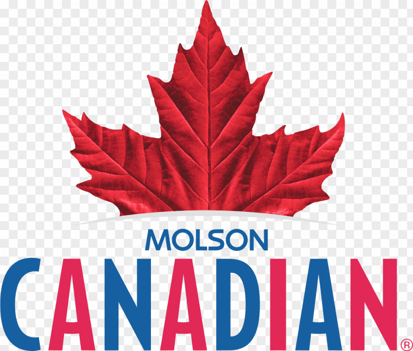 Beer Molson Brewery Canada Canadian Coors Brewing Company PNG