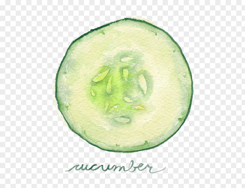 Drawing Cucumber Watercolor Painting Vegetable Slicing Illustration PNG