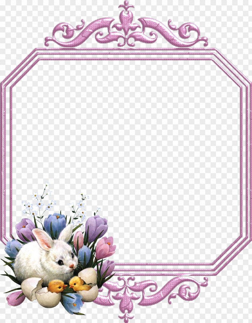 Easter Frame Bunny Paper Sticker Holiday PNG