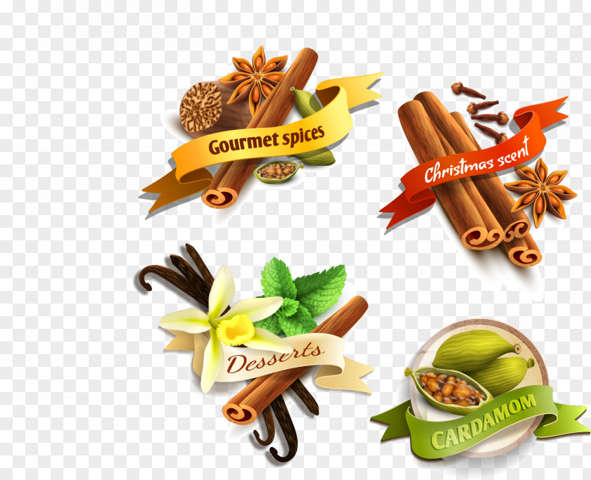 Vector Spices Spice Food Ingredient Star Anise PNG