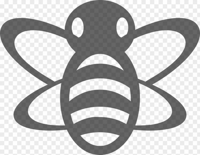 Bieneschwarzweiss Western Honey Bee Insect Clip Art PNG