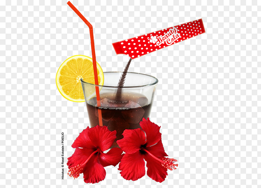 Gotu Kola Fizzy Drinks Coca-Cola Non-alcoholic Drink Cocktail Garnish PNG