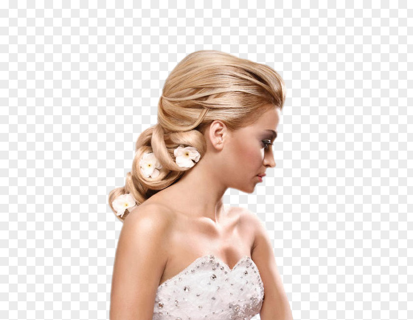 Hair Hairstyle Updo Wedding Bride PNG