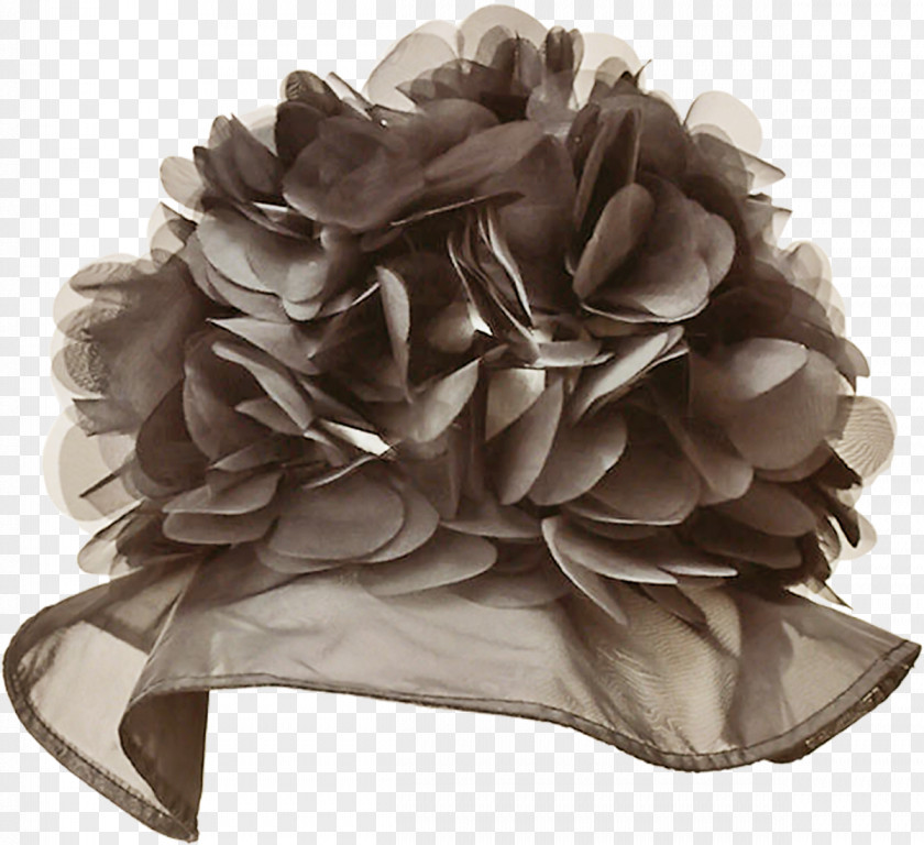 Hat Petal Brown PNG