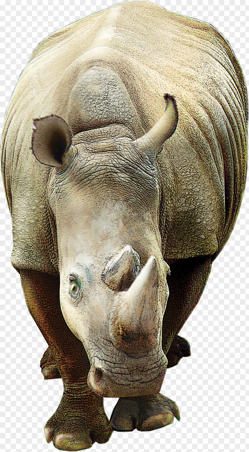 Rhino Creative Rhinoceros 3D Poster PNG