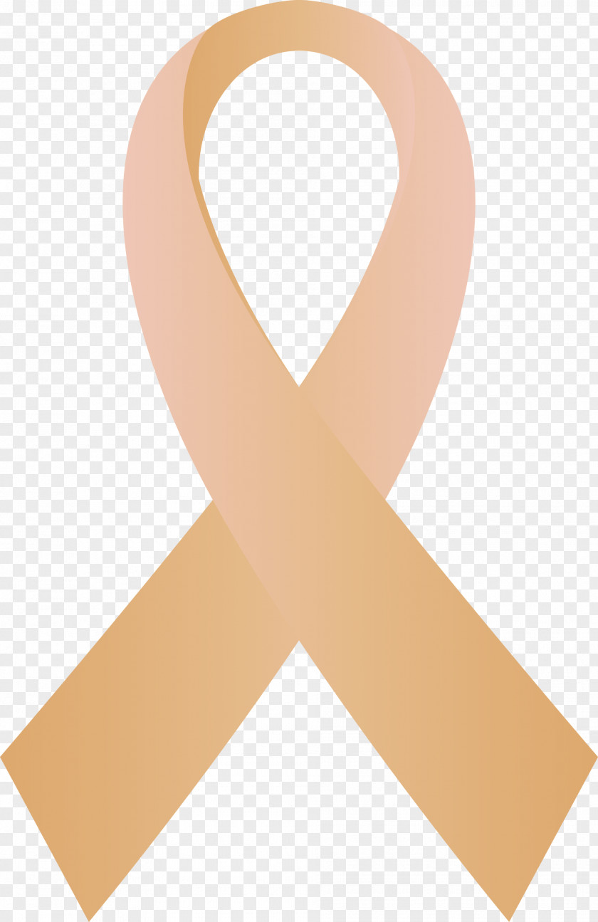 Solidarity Ribbon PNG