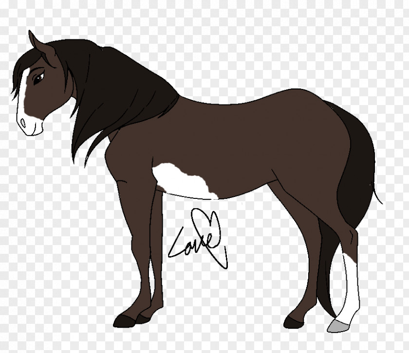 Spirit Horse Mustang Stallion Pony Foal Colt PNG