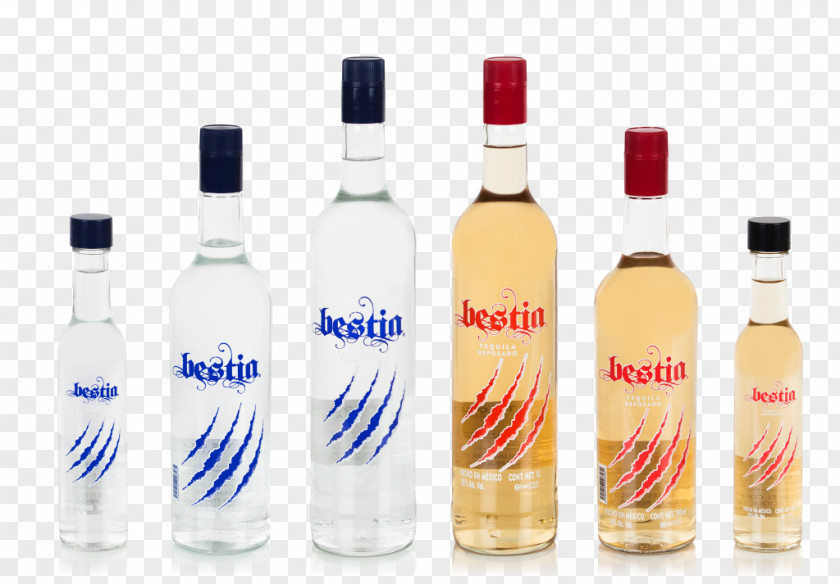 Vodka Liqueur Tequila Distilled Beverage Mexican Cuisine PNG