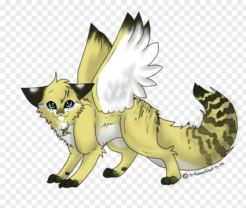 Bi Colored Kitten Whiskers Winged Cat PNG