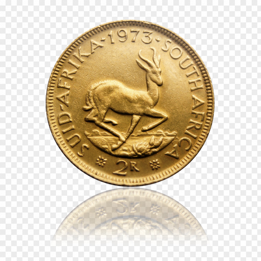 Coin Gold Medal Silver Bronze PNG