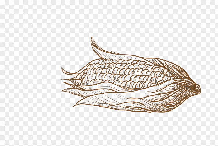 Corn Vector Graphics Graphic Design PNG