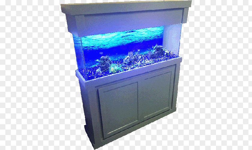 Fish Tank Birch Aquarium Business Cabinetry Sales PNG