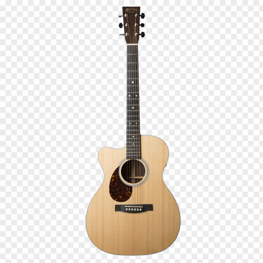 Guitar Case Classical Acoustic Acoustic-electric Twelve-string PNG
