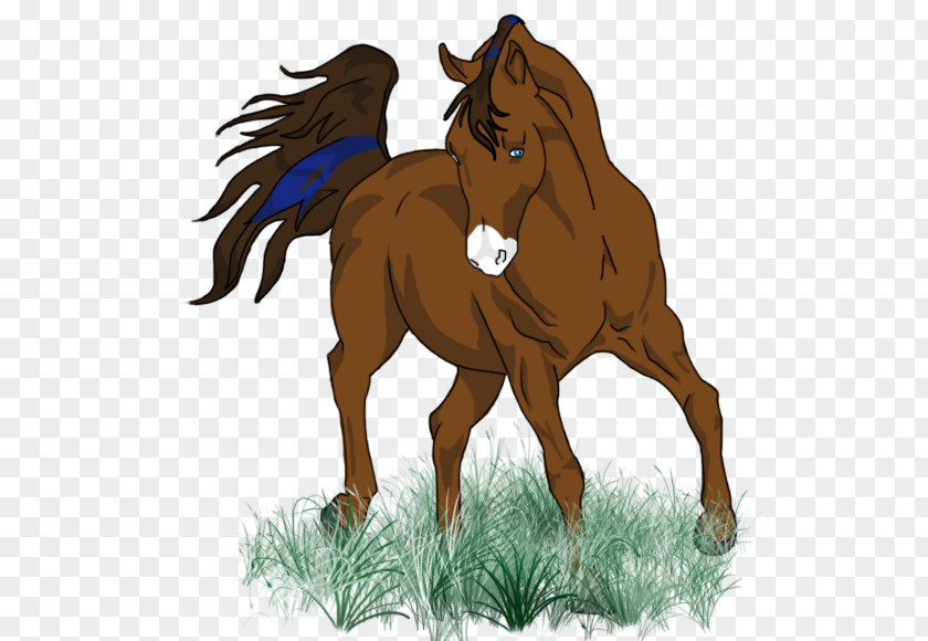 Mustang Pony Mare Foal Stallion PNG