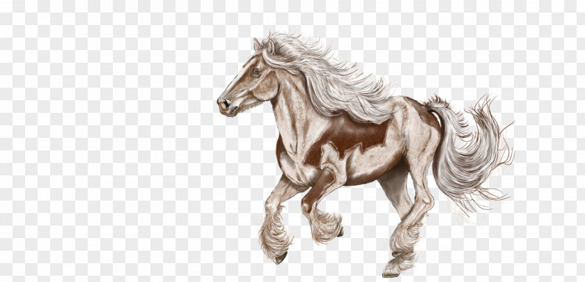 Watercolor Horse Mustang Shetland Pony American Paint Stallion PNG