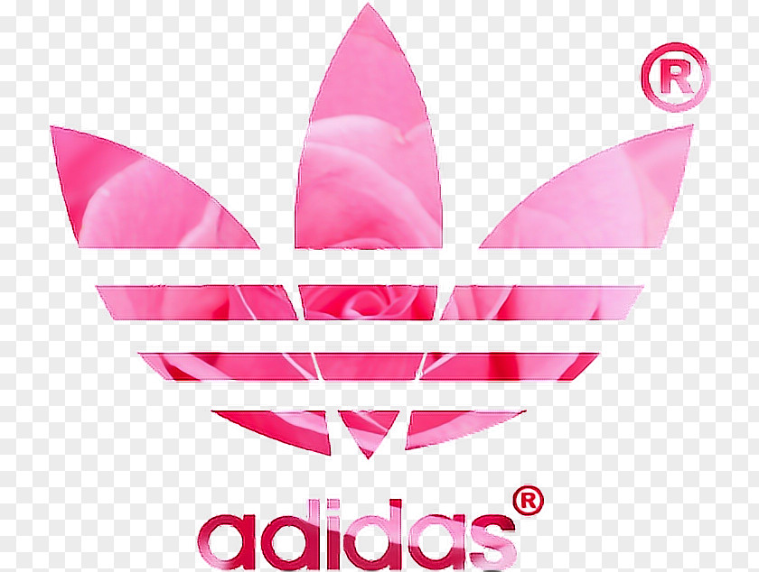 Adidas Stan Smith Desktop Wallpaper Pink Originals PNG