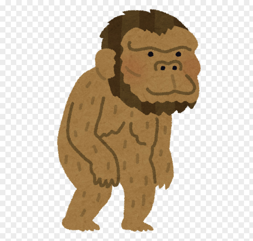 Australopithecus Bahrelghazali Human Evolution Southern Ape Homo Sapiens Neanderthal PNG