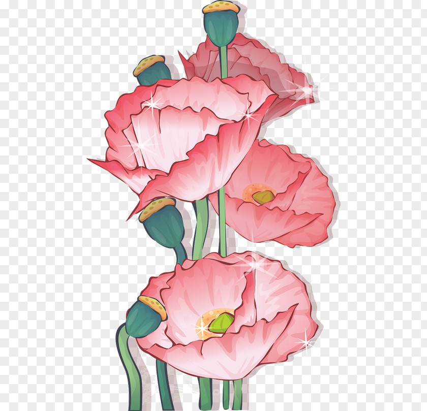 Common Poppy Opium PNG