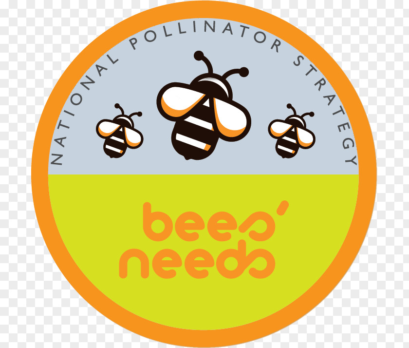 Information Bee Ireland Countryside Stewardship Scheme Insect PNG