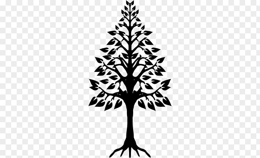 Tree Himachalheaven Root PNG