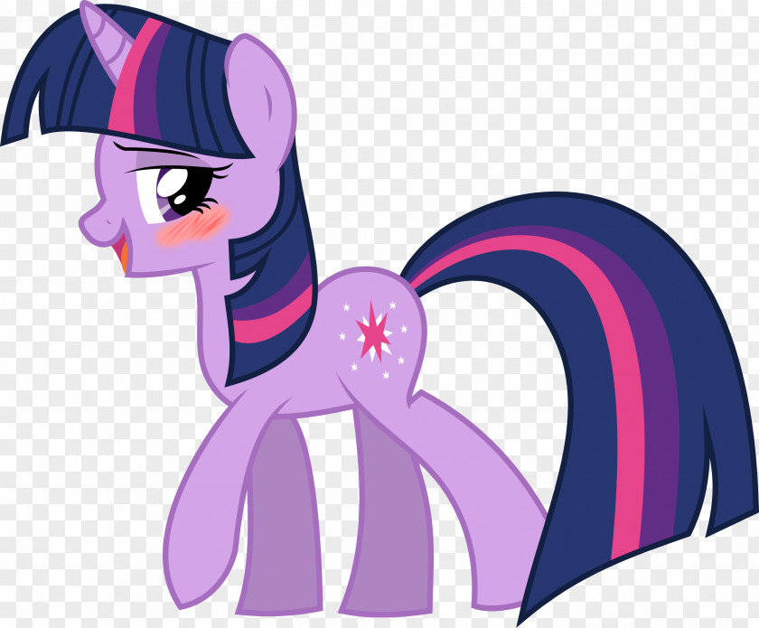 Twilight Sparkle Pinkie Pie Ice King Princess Cadance Pony PNG