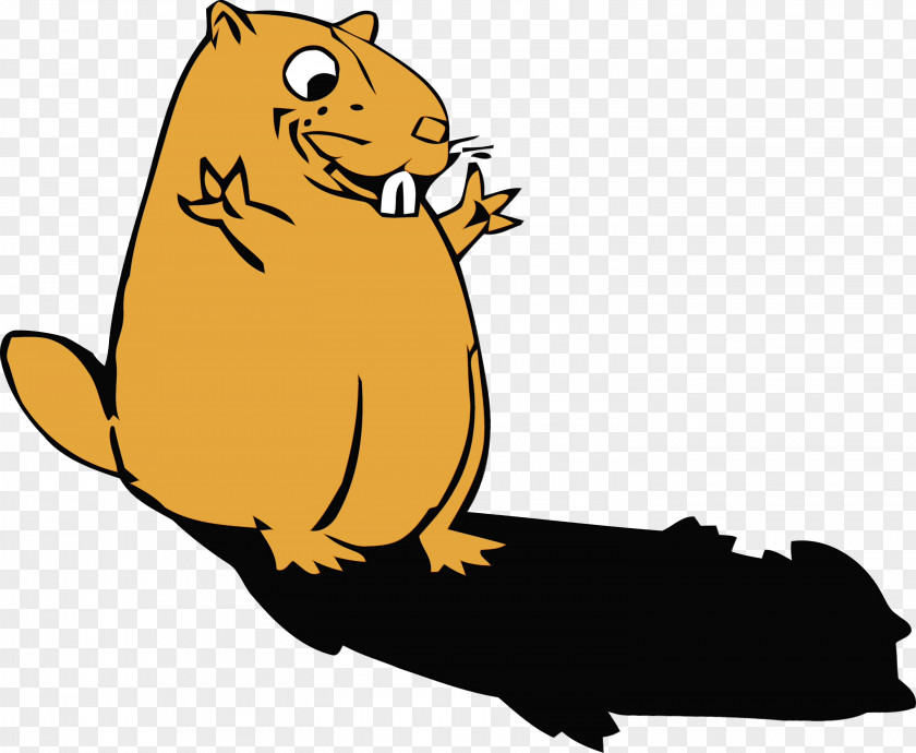 Beaver Gerbil Rat Groundhog Muroidea PNG