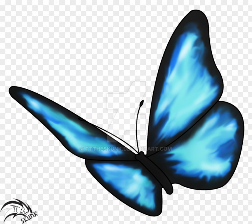 Blue Butterfly Life Is Strange Effect Drawing Insect PNG