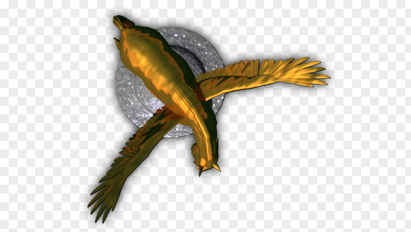 Bronze Name Beak Amphibian Fauna Feather Tail PNG