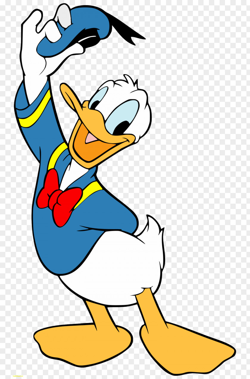 Duckling Donald Duck Daisy Mickey Mouse The Walt Disney Company Cartoon PNG
