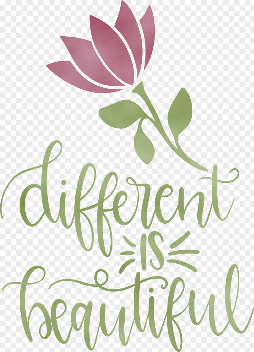 Floral Design PNG