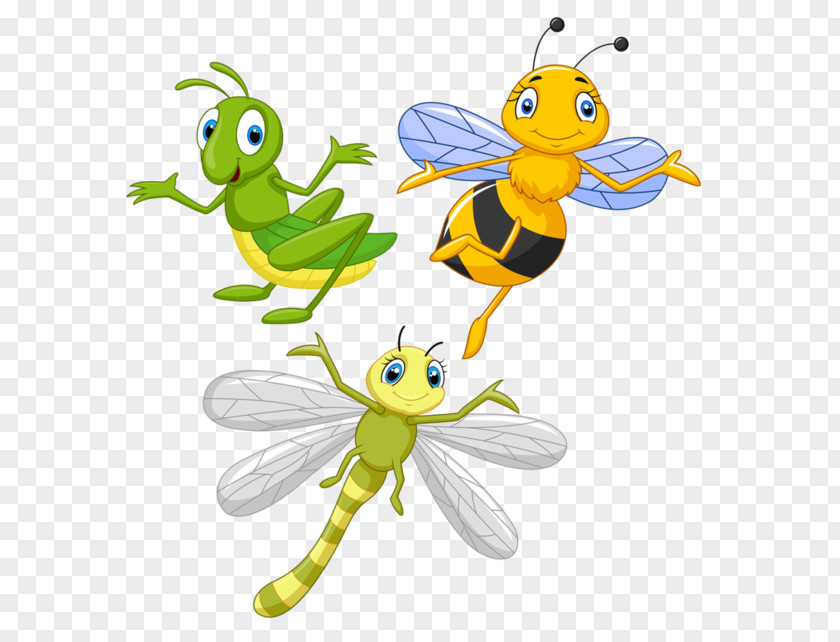 Insect Insects And Flowers Bee Drawing PNG